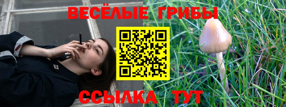 Псилоцибиновые грибы Magic Shrooms Качканар