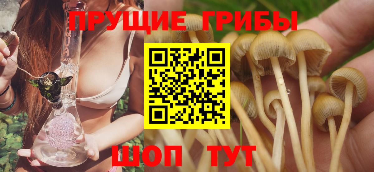 Качканар  Галлюциногенные грибы MAGIC MUSHROOMS  Вход с VPN  закладки  Галлюциногенные грибы MAGIC MUSHROOMS 